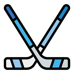 Stick de Hockey